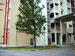 Blk 661B Jurong West Street 64 (Jurong West), HDB 5 Rooms #558834401